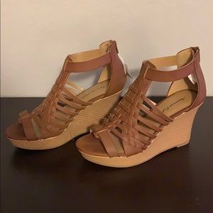 American eagle wedges